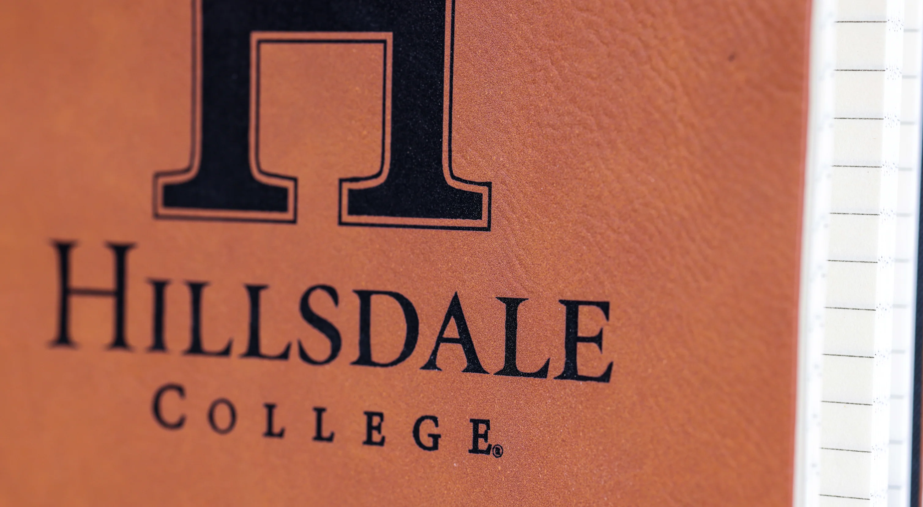 Camel Velour Journal - Image 3