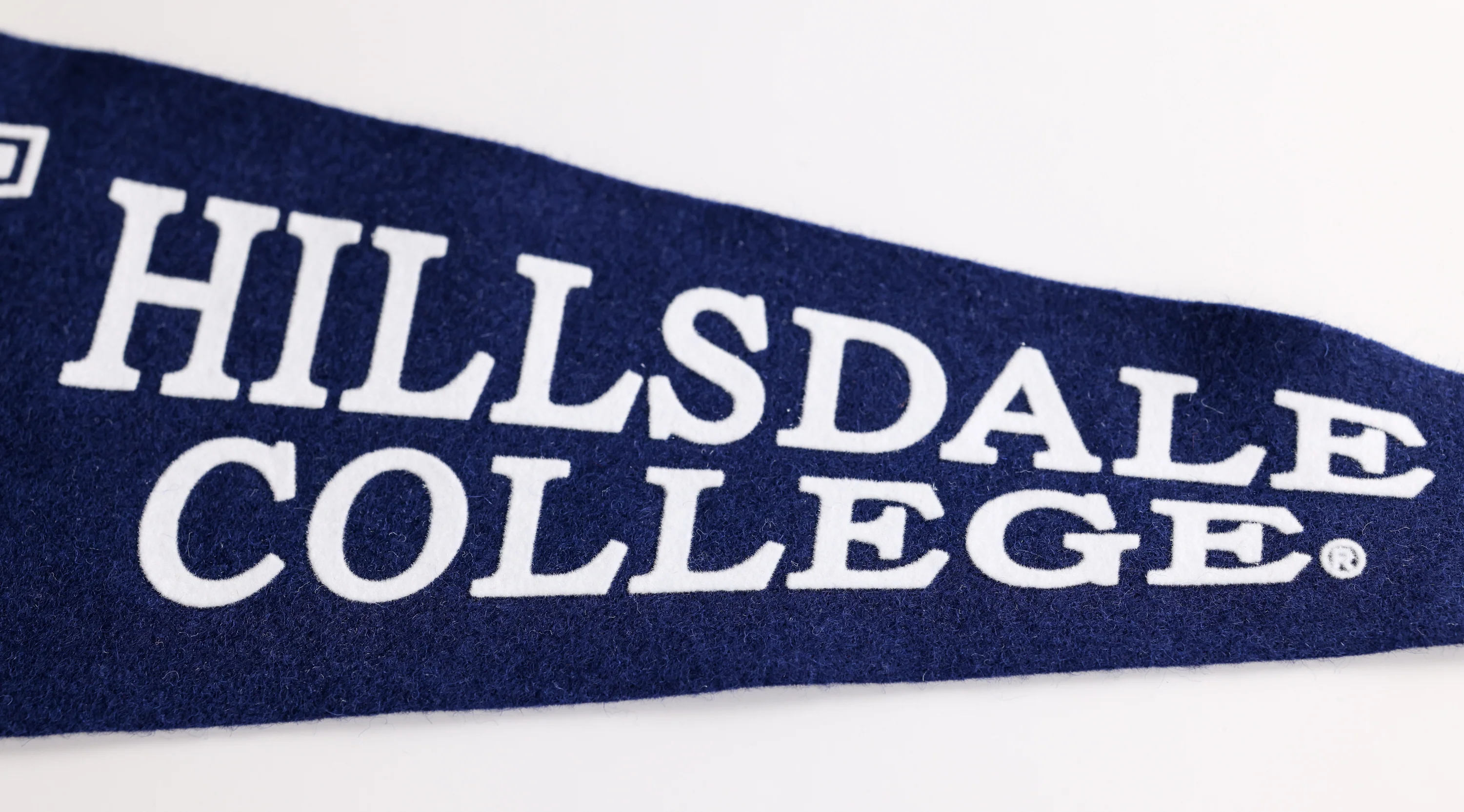 Large Pennant - Image 4